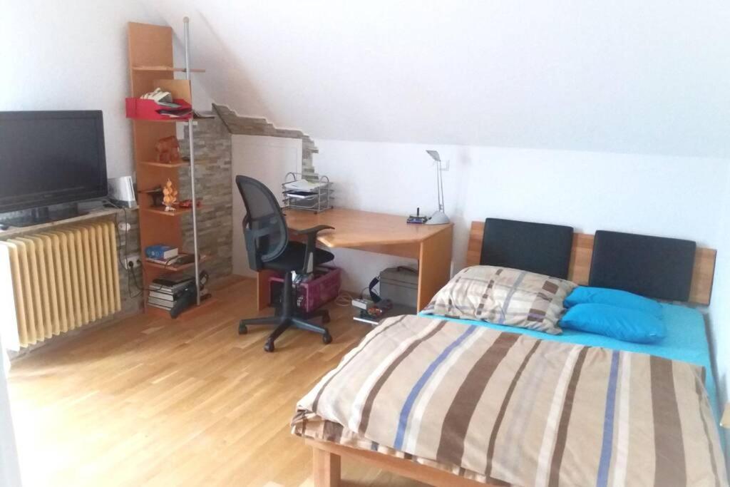 Neue, Helle Wohnung In Ludwigsburg, Nah Am Schloss Zewnętrze zdjęcie